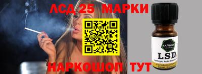 a pvp Свободный