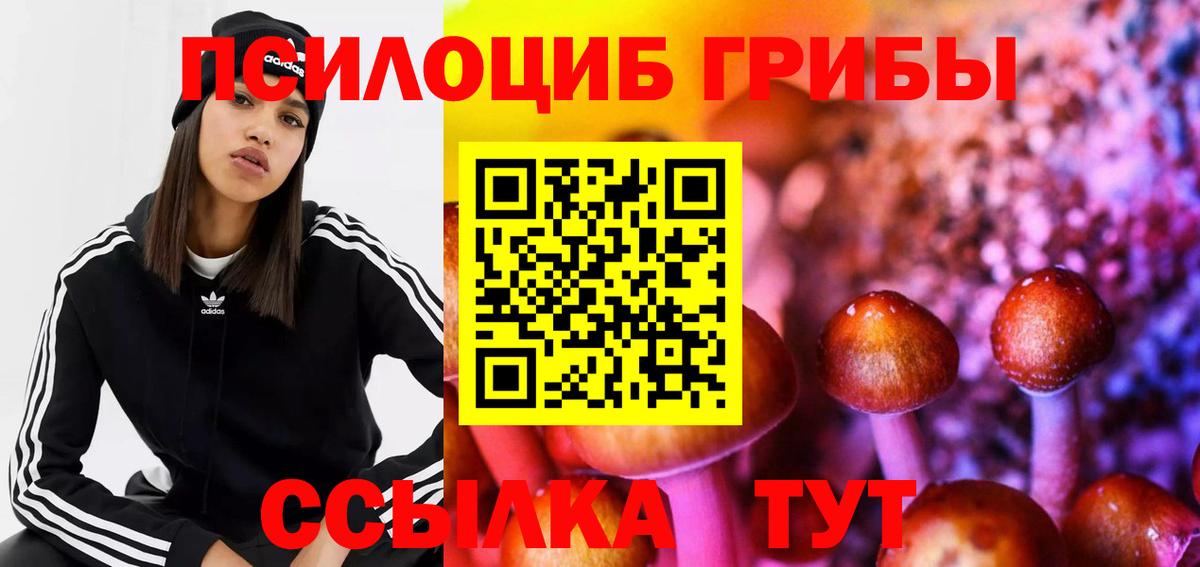 Галлюциногенные грибы мицелий  Вход с VPN  Новодвинск 